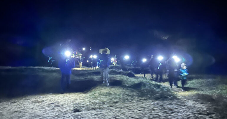 Night Time Fossil Hunt