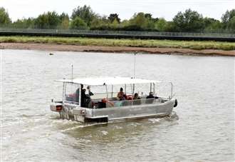 Town ferry out of action after step detaches from staircase