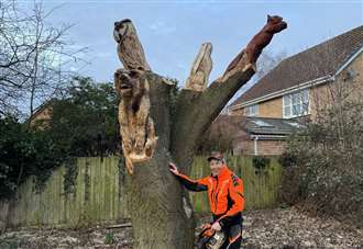 Artist’s animals carvings create ‘lasting legacy’ and save village park’s old oak tree