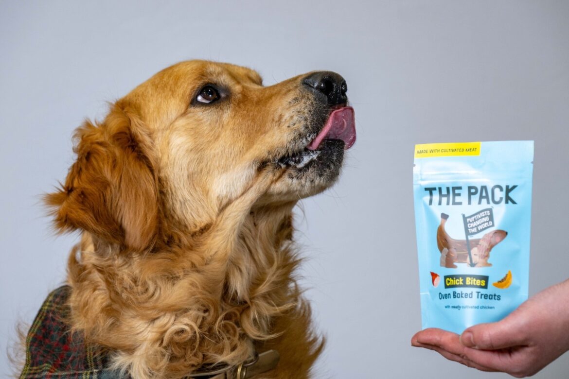 Dog treat made from cultivated meat on sale in UK in world first