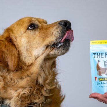 Dog treat made from cultivated meat on sale in UK in world first