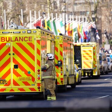 Emergency services called to man climbing up Houses of Parliament