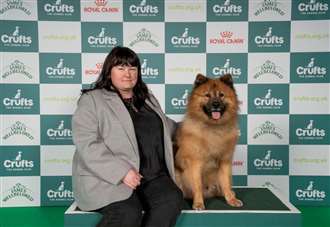 Four-legged friend owned by West Norfolk woman crowned winner of Best in Breed at Crufts