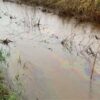 Investigation into cause of oil spotted in rare chalk stream closes