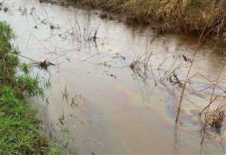 Investigation into cause of oil spotted in rare chalk stream closes