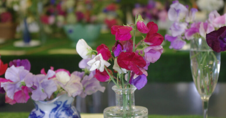 Snettisham Gardening Club Flower Show