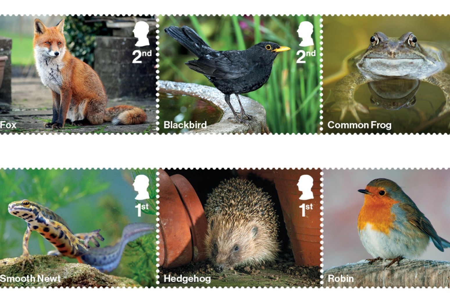 Stamps celebrating diversity of wildlife in UK gardens launched