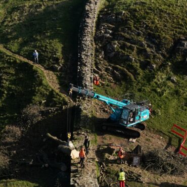 Sycamore Gap tree accused in court