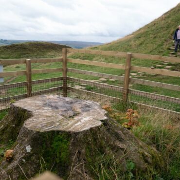 Trial to start for two men accused of felling Sycamore Gap tree