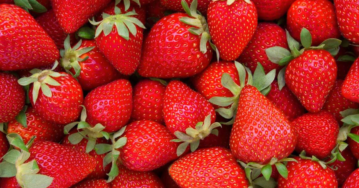 Dersingham Strawberry Fayre