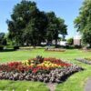 Free flowers up for grabs – and could be gone within an hour