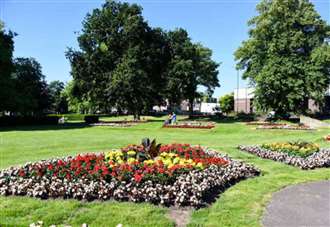 Free flowers up for grabs - and could be gone within an hour