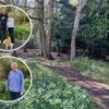 Frustration as Australian landowner wants to block off two woodland footpaths