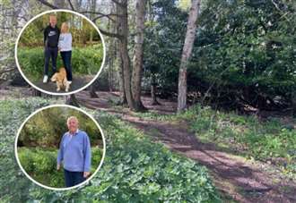 Frustration as Australian landowner wants to block off two woodland footpaths