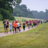 Sandringham Half Marathon & Community Mile