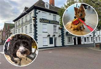 ‘Utter disbelief’: Discrimination claims as assistant dogs are not allowed into pub