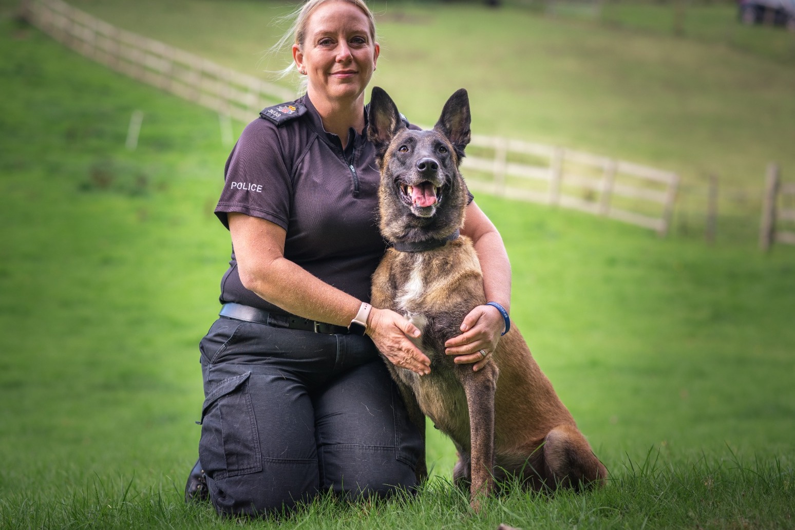 Ministers urged to give pensions to retired police dogs
