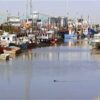 Nine men to appear in court charged with breaching fishing regulations