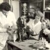 Picture This: 1950s dogs with freshly painted nails and perfectly coiffured hairdos