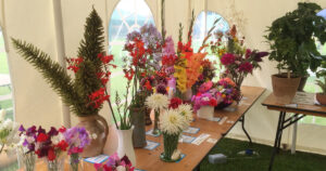 The Burnhams Flower Show, Fete & Carnival