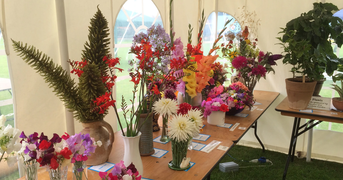 The Burnhams Flower Show, Fete & Carnival