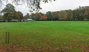 Travellers return to park – with more than ten caravans on field