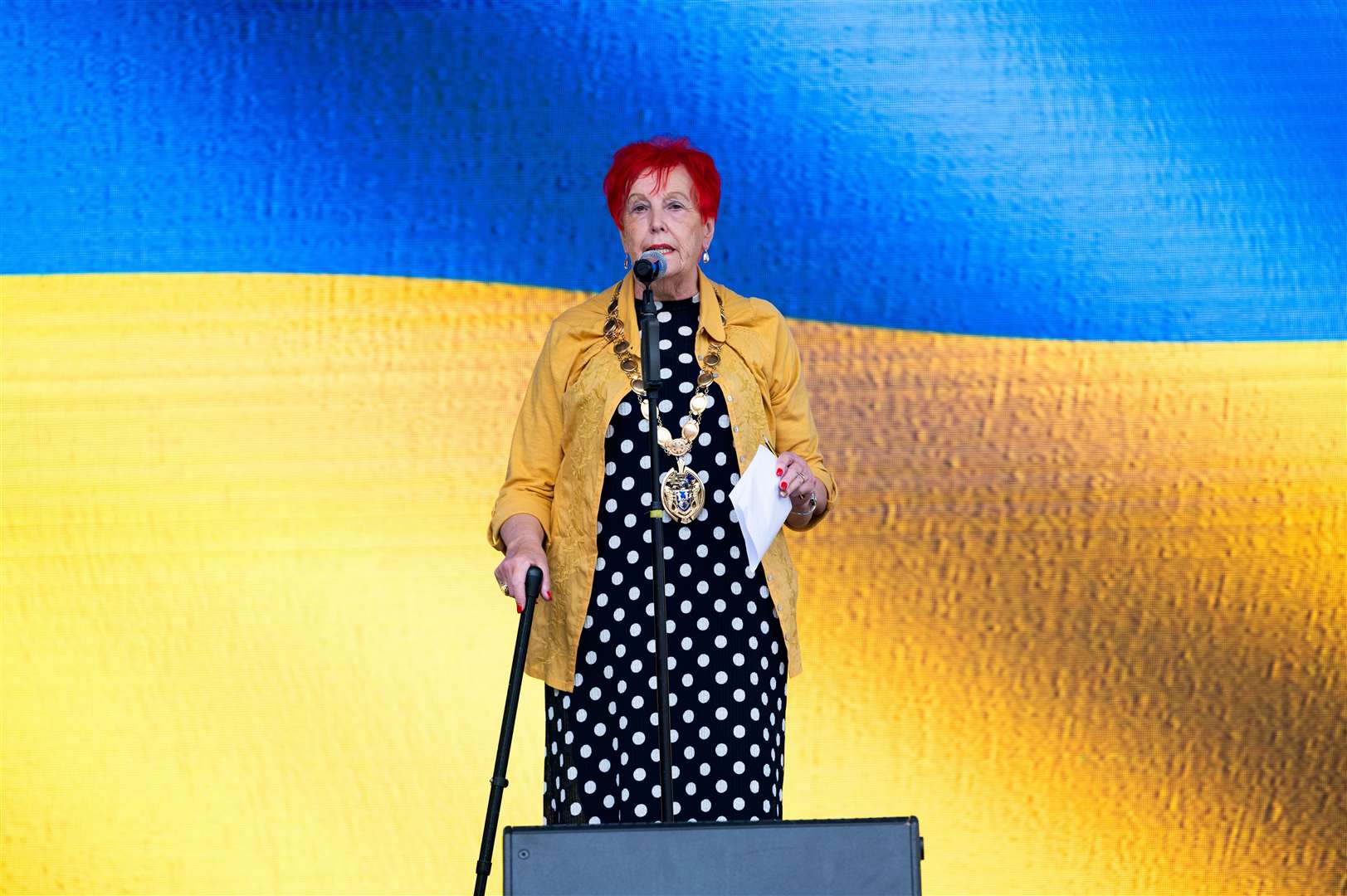 Margaret Wilkinson wore yellow while giving a speech at a Ukraine event