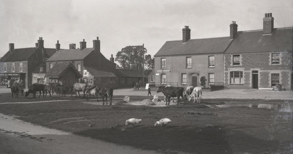 Massingham Historical Society - Drovers Tales