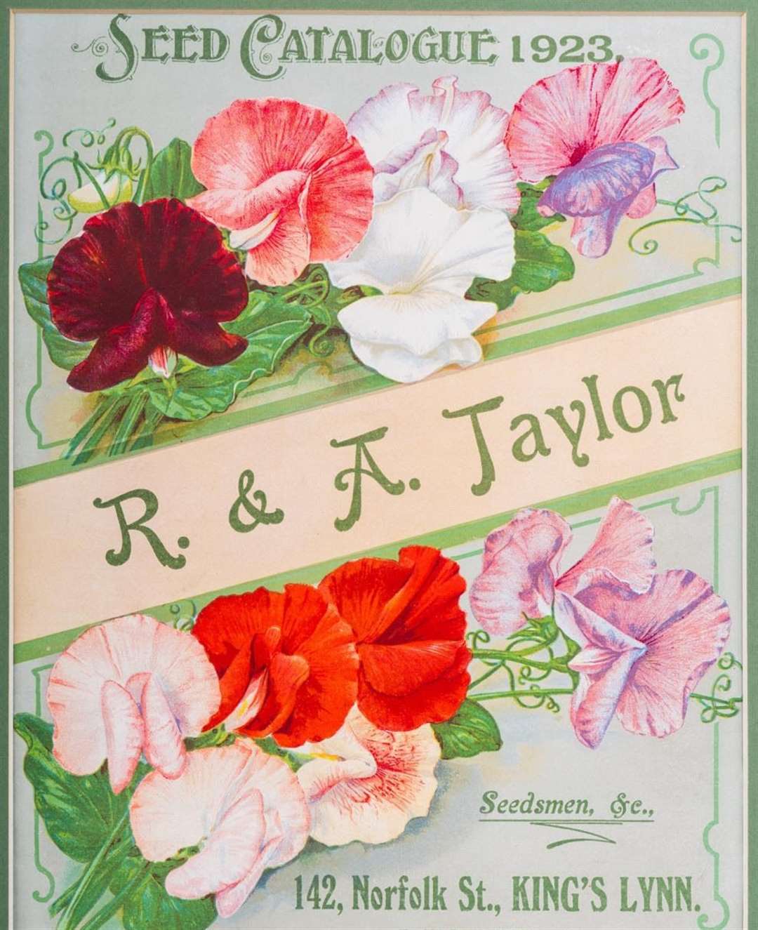 Taylor's forget-me-not seed packet