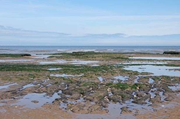 Reader Mandy Parker sent these photos and said: “A capture of our stunning coastline with views over the ancient forest at Holme and a reflective black headed gull displaying calmness and serenity. It really was the most peaceful/beautiful day on the beach.”