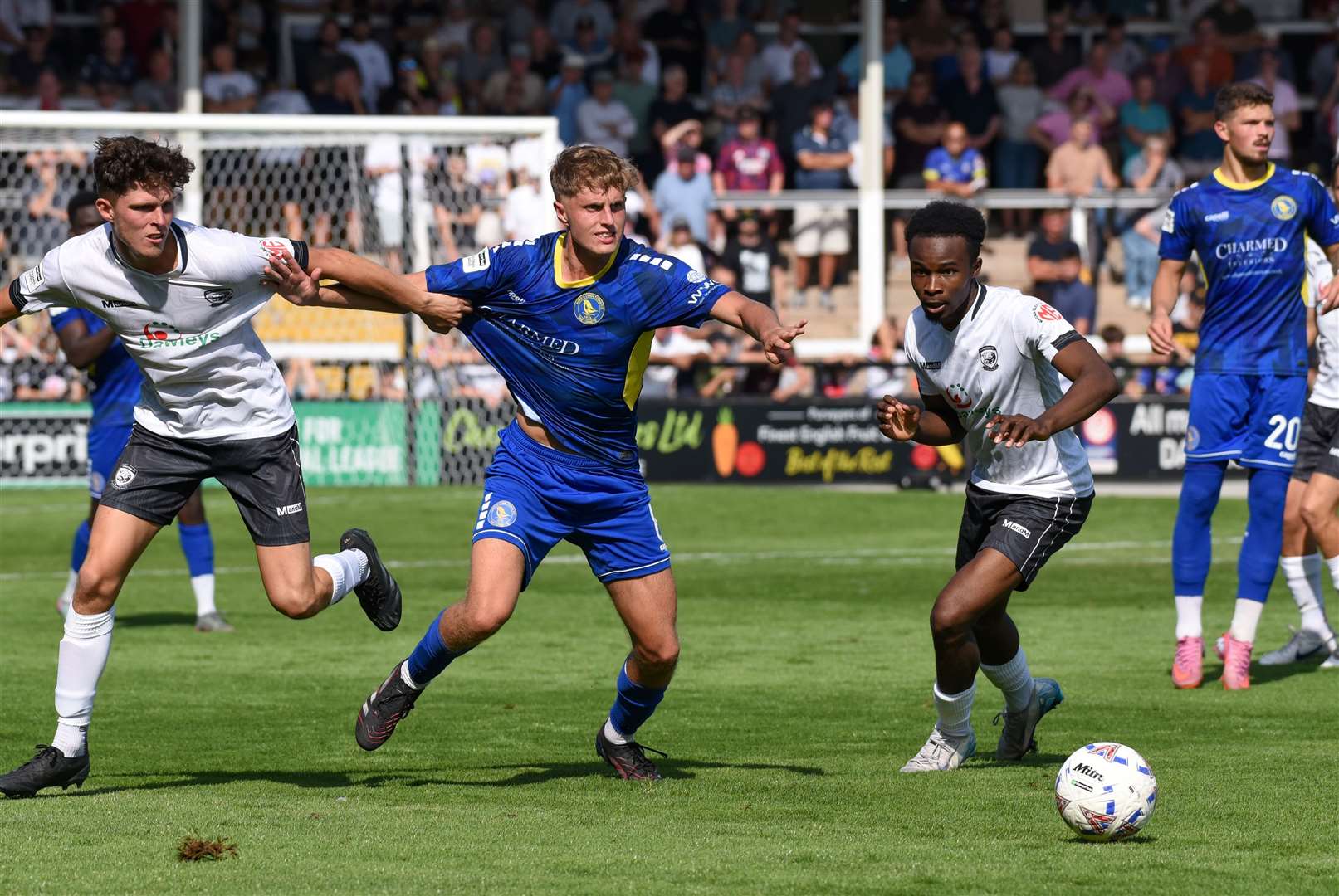 Sam Collins. Picture: Tim Smith