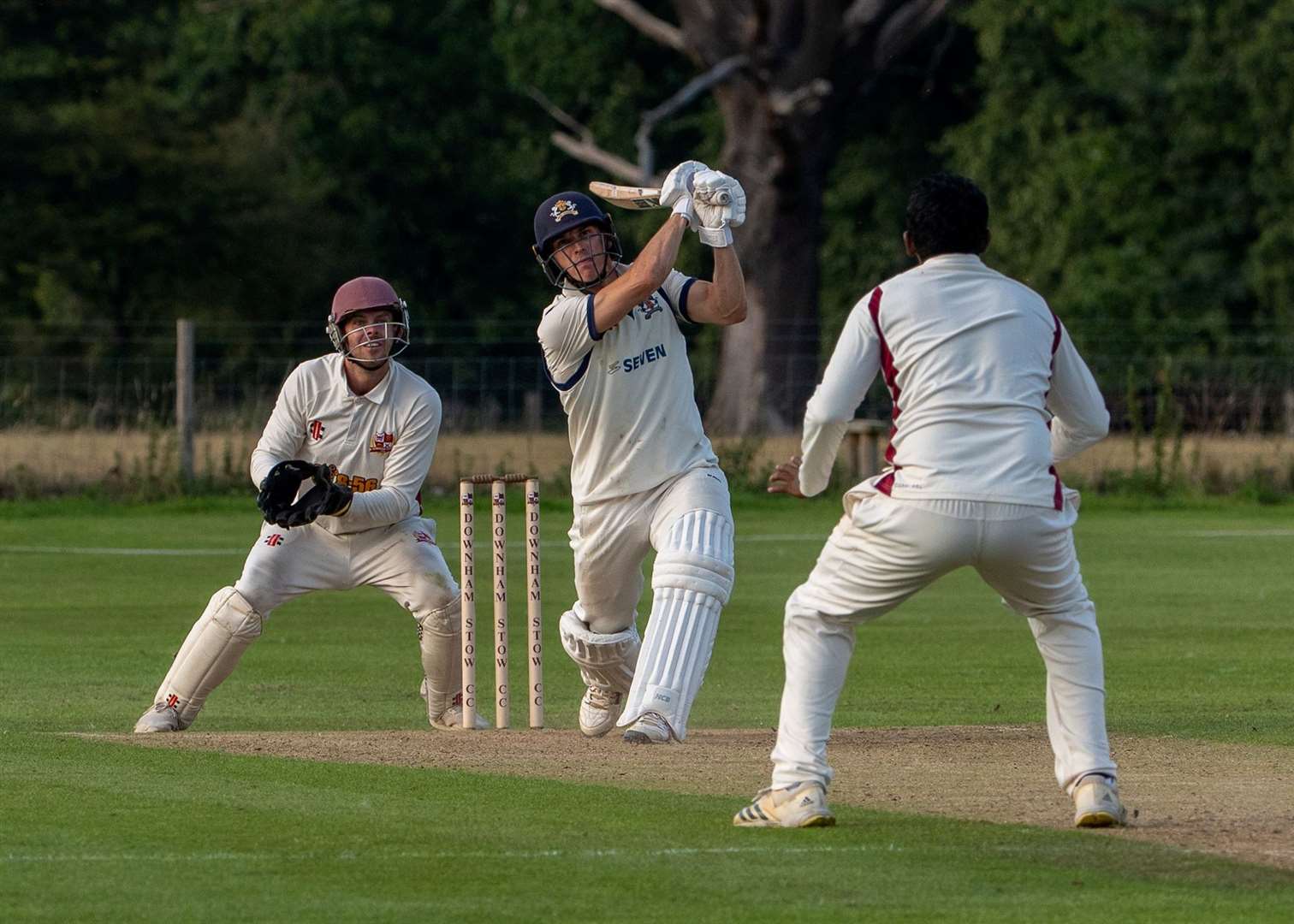 Downham Stow in the field. Picture: Andrew Hunt