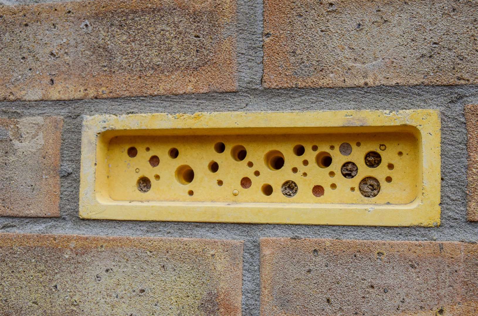 A bee brick at Florence Fields. Picture: West Norfolk Council