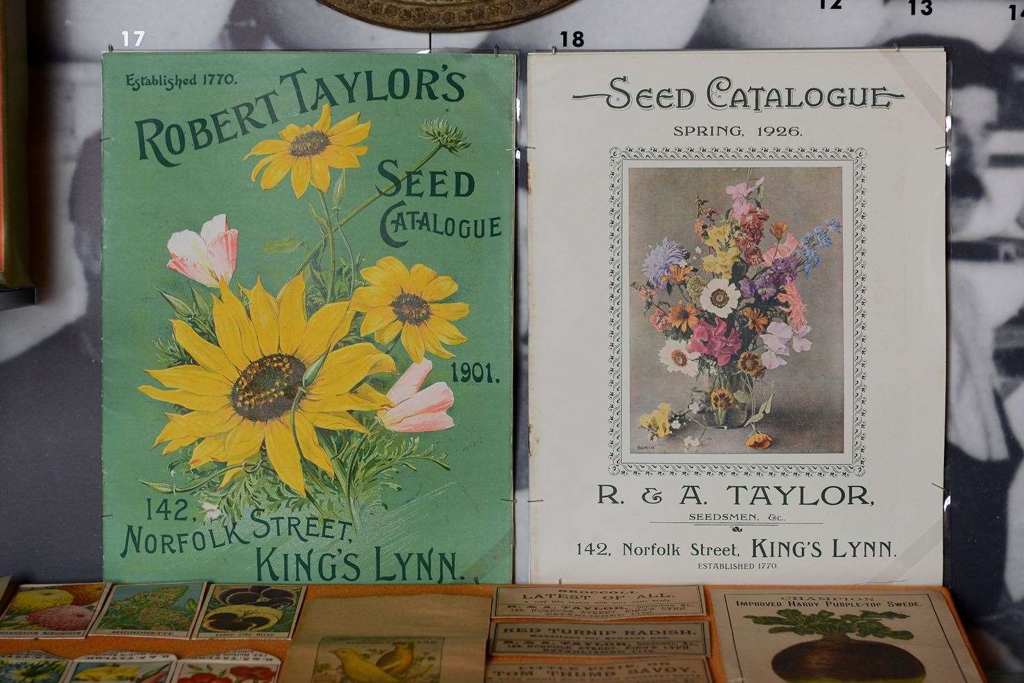 Robert Taylor’s Seed Catalogues, green carnations/Pride. Picture: Lynn Museum