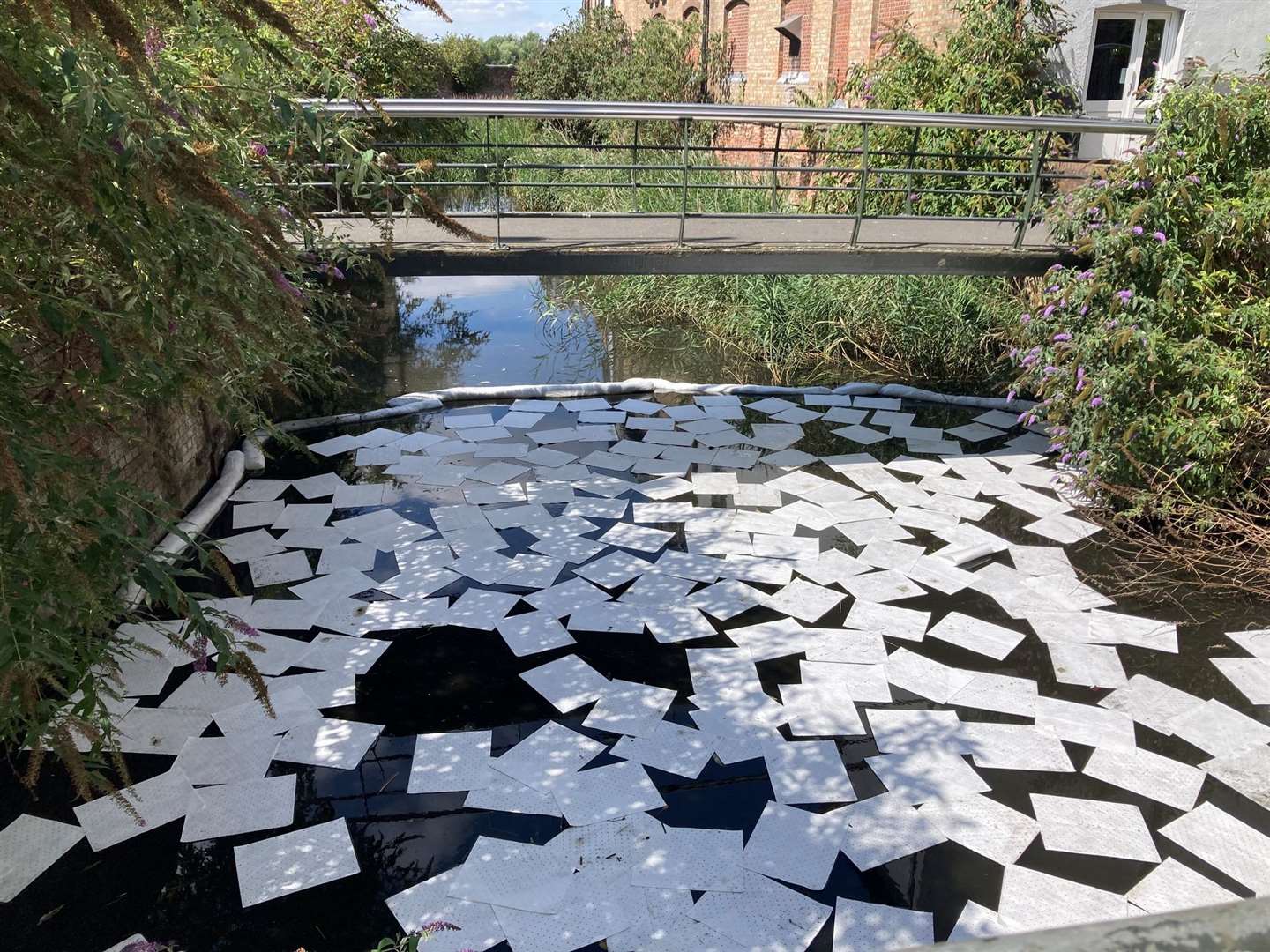 The sheets are in the Inner Purfleet in Lynn. Picture: West Norfolk Council