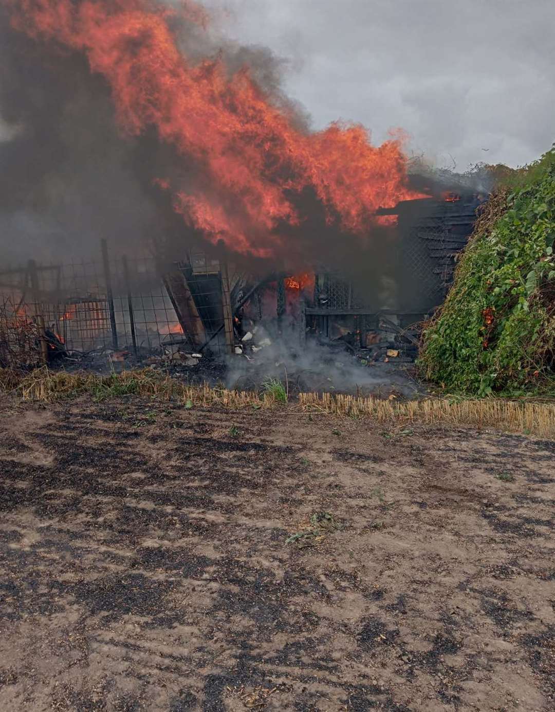 Fire crews were called to Pigeon Street in Walpole St Andrew. Pictures: John Long