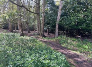 Ancient woodland paths will remain open to the public after nine-year battle