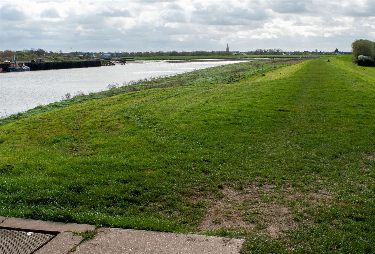 A grass section of the footpath in West Lynn. Picture: Michael Fysh