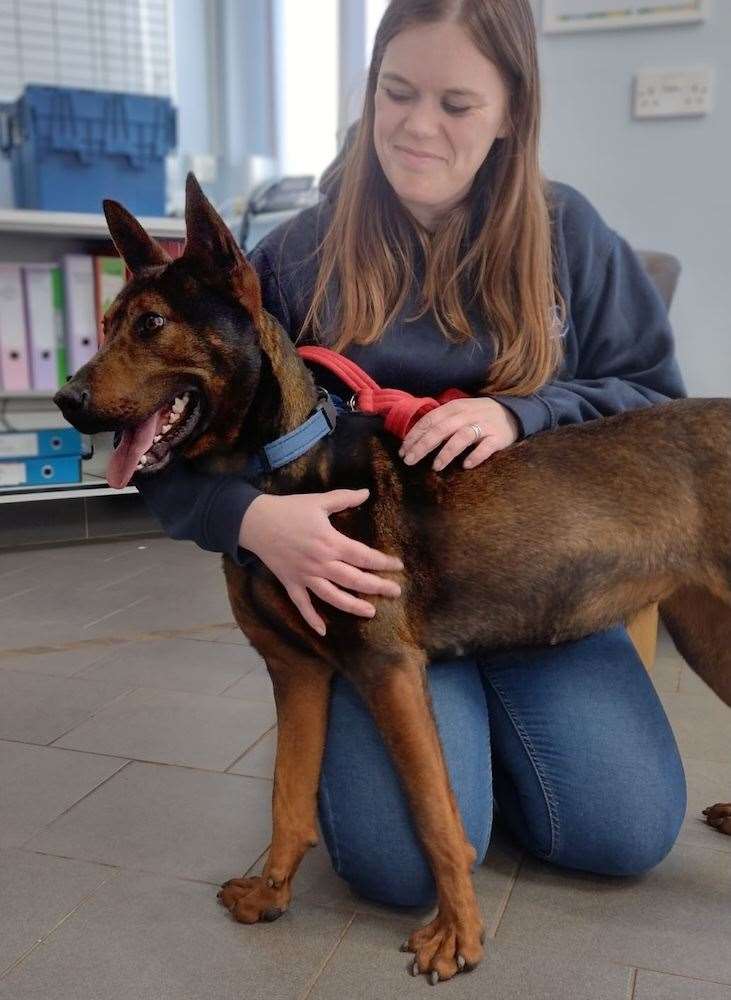 Xena is in need of a home