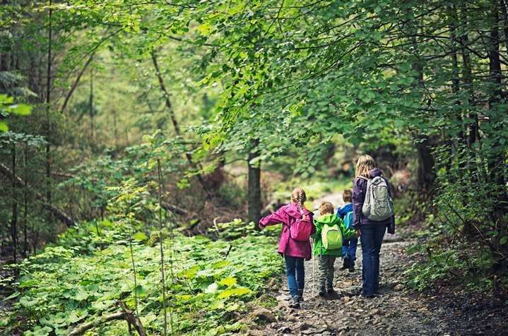 A new woodland with 40,000 trees at St Germans will be open to the public in spring next year. Picture: iStock